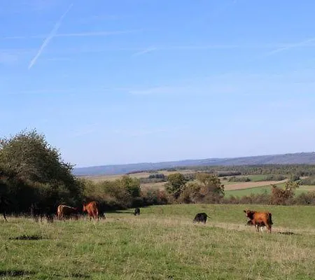 Au Chant Du Coq Wancennes Exterior foto