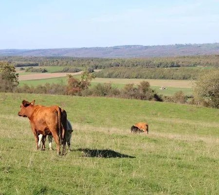 Au Chant Du Coq Wancennes Exterior foto