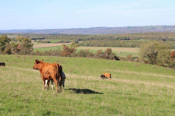 Au Chant Du Coq Holiday home *